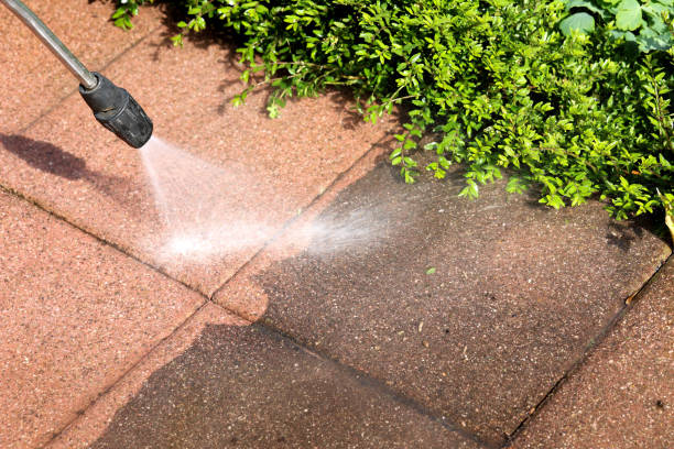 Best Fence Pressure Washing  in Port Arthur, TX